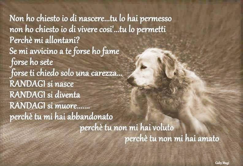 Frasi Di Buon Compleanno Cane